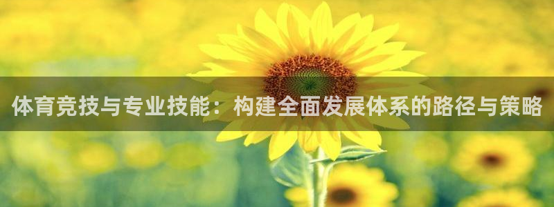 678体育：体育竞技与专业技能：构建全面发展体系的路径与策略