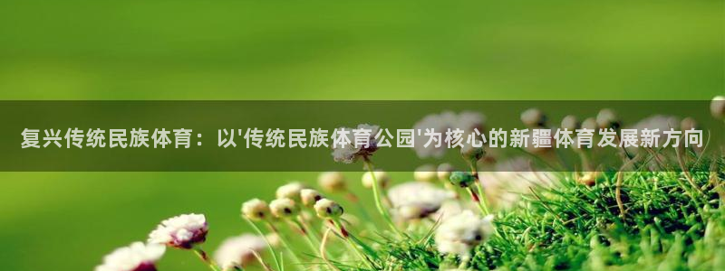 皇冠678体育：复兴传统民族体育：以\'传统民族体育公园\'为核心的新疆体育发展新方向