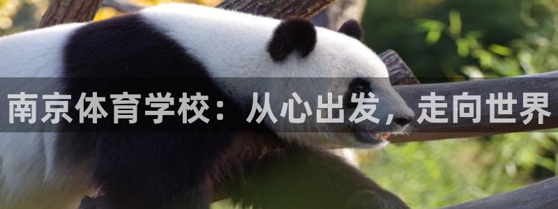 678体育app：南京体育学校：从心出发，走向世界