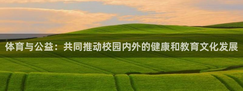 678体育官网：体育与公益：共同推动校园内外的健康和教育文化发展