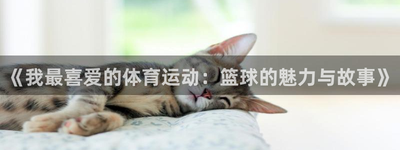 678体育知识：《我最喜爱的体育运动：篮球的魅力与故事》