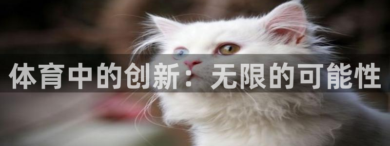 皇冠678体育：体育中的创新：无限的可能性