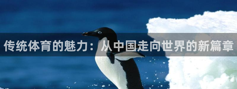678体育app：传统体育的魅力：从中国走向世界的新篇章