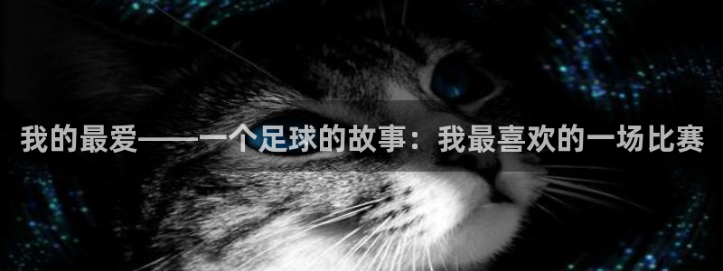 678体育
