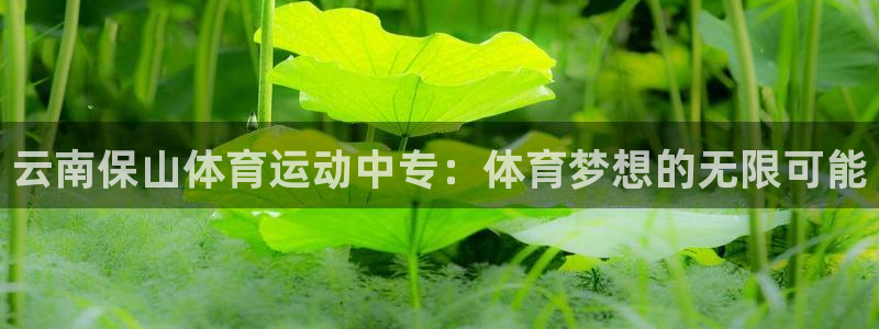 678体育官网下载：云南保山体育运动中专：体育梦想的无限可能